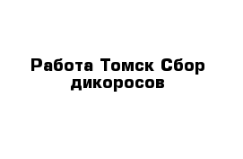 Работа Томск-Сбор дикоросов